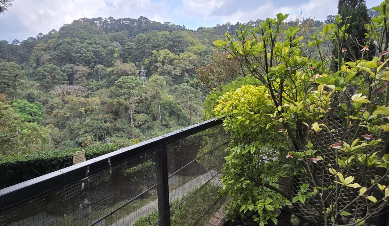 WhatsApp Image 2026-03-17 at 11.51.27 AM