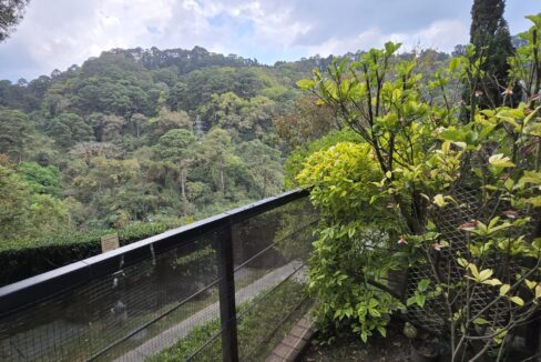 WhatsApp Image 2026-03-17 at 11.51.27 AM