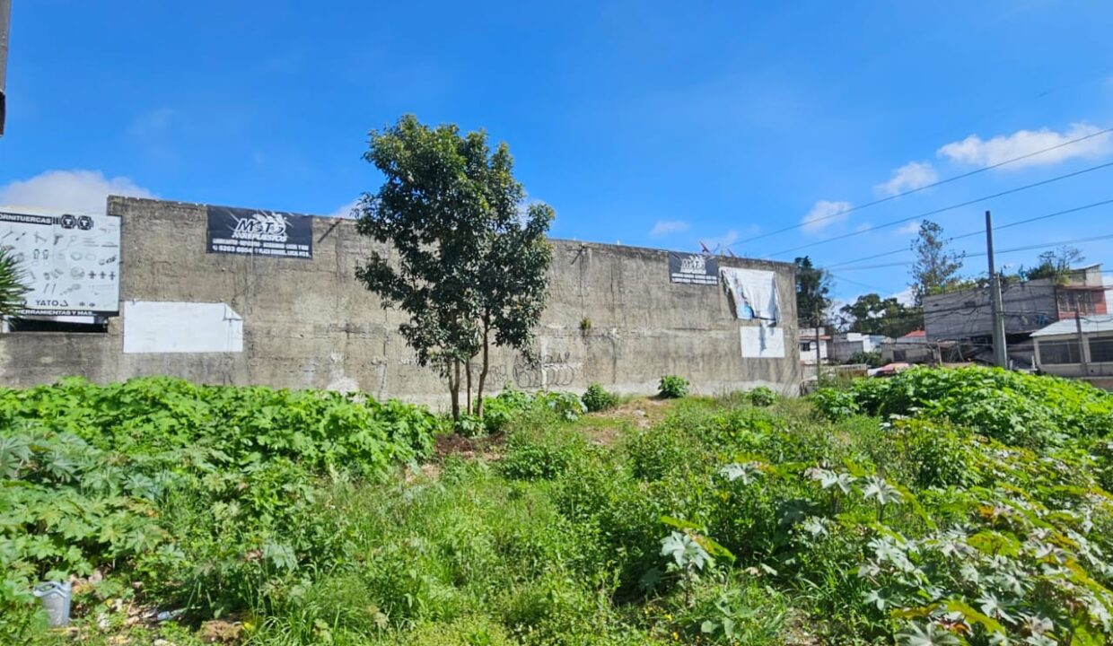 WhatsApp Image 2025-11-11 at 10.03.06 PM (1)