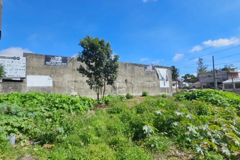 WhatsApp Image 2025-11-11 at 10.03.06 PM (1)