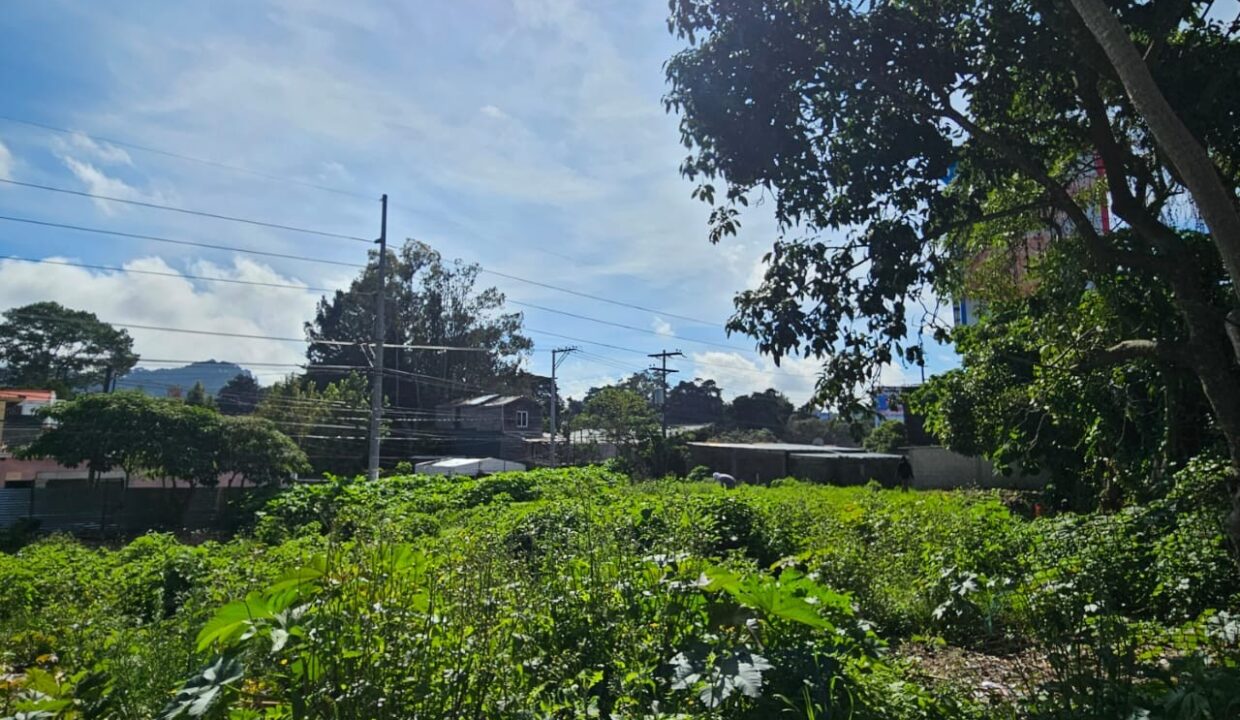 WhatsApp Image 2025-11-11 at 10.03.06 PM