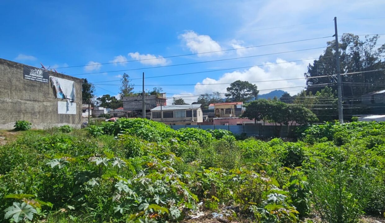 WhatsApp Image 2025-11-11 at 10.03.06 PM (2)