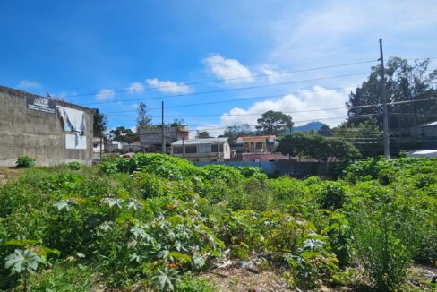 WhatsApp Image 2025-11-11 at 10.03.06 PM (2)