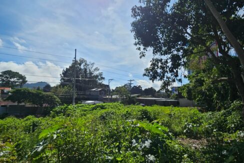 WhatsApp Image 2025-11-11 at 10.03.06 PM